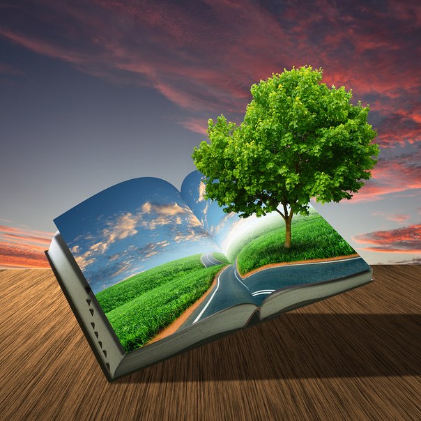 КнигаДерево
